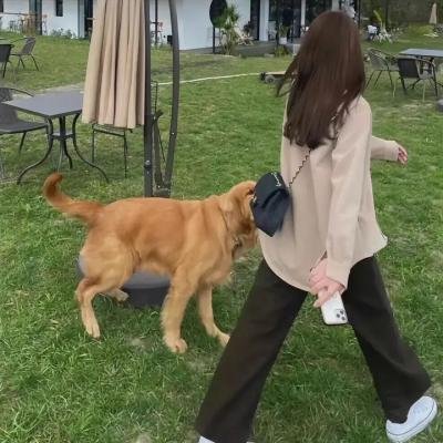 天才与白痴